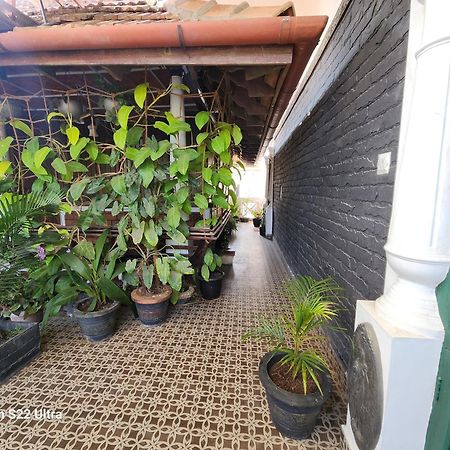 Kairali Palace Home Stay Текади Екстериор снимка